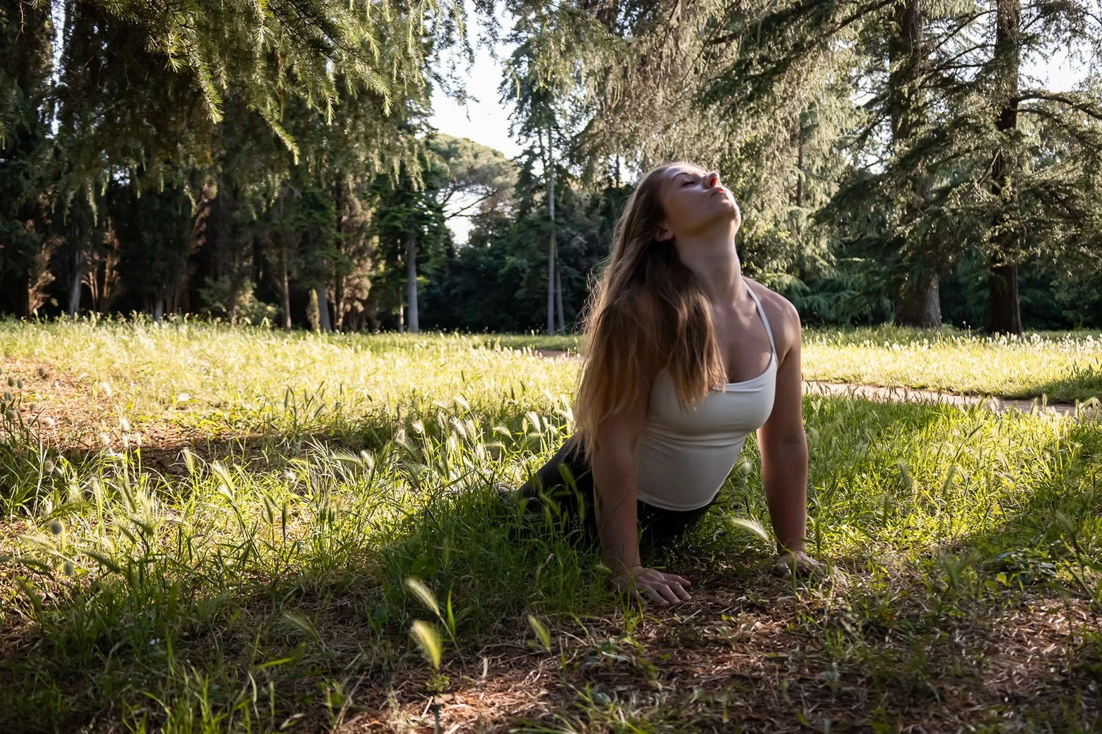 Jelena in upward-facing dog on a grass clearing surrounded by pines